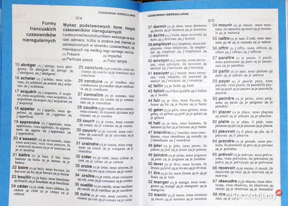 Słownik francuskopolski polskofrancuski Mini