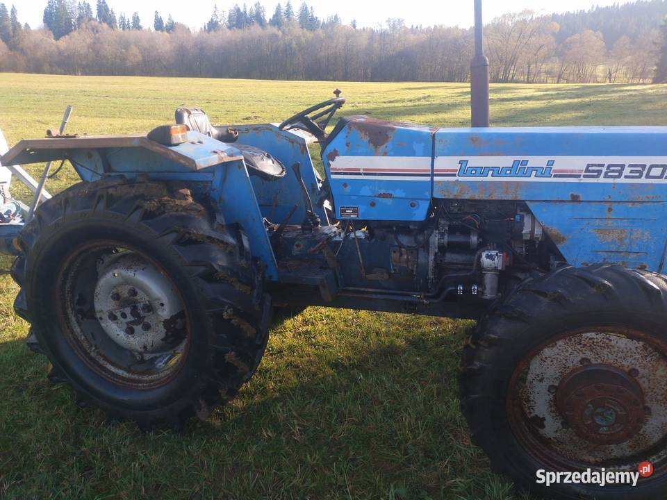 Landini 5830 Mf 254 Nowy Targ sprzedam