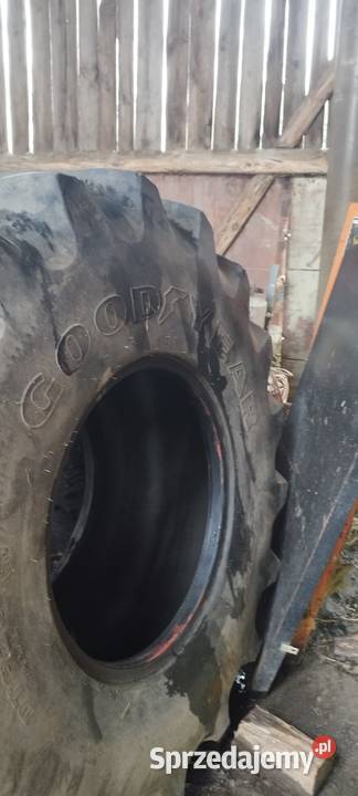 Opona 6207526 r26