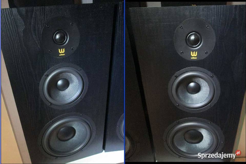 Kolumny Wilson Classic czarny dąb stojaki 22 Warszawa sprzedam