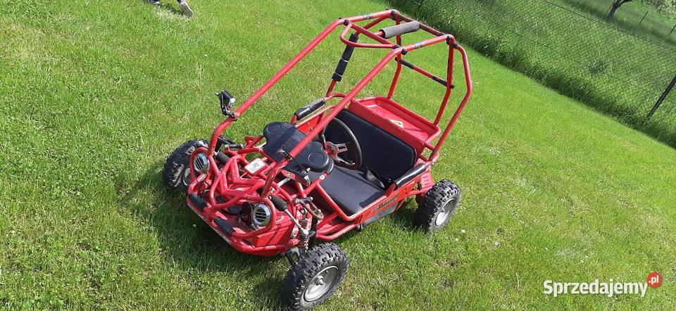 Buggy 50cc mini buggy Wieprz