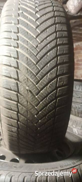 Opona całoroczna minerva all season master Samochodowe lubuskie