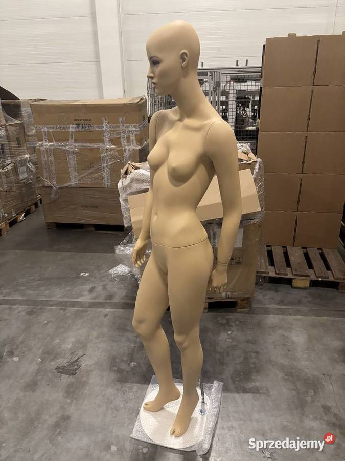 Manekiny sklepowe premium Poznań