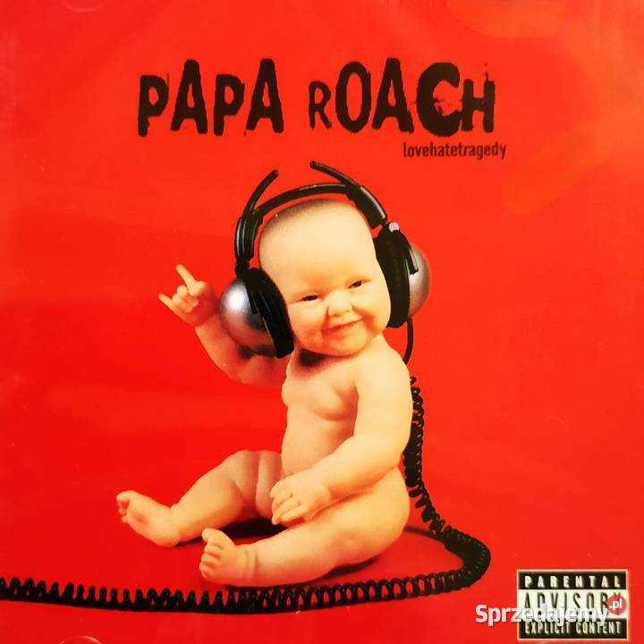 Sprzedam Super Abum Zespołu KORN Take a Look In Gliwice sprzedam