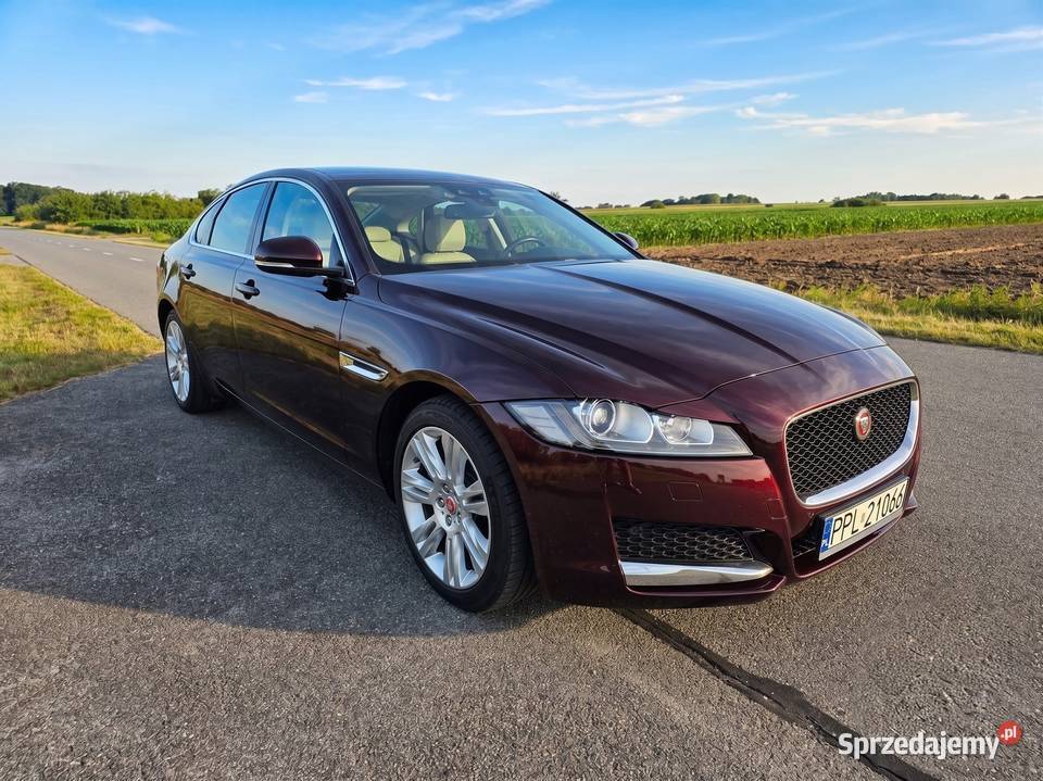 Jaguar XF 20 GTDi Prestige Salon 95 Zjawiskowy Pleszew