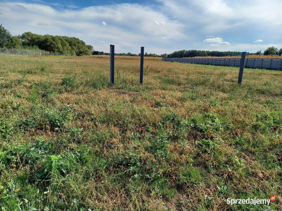 Działka budowlana 4800m 4800m2