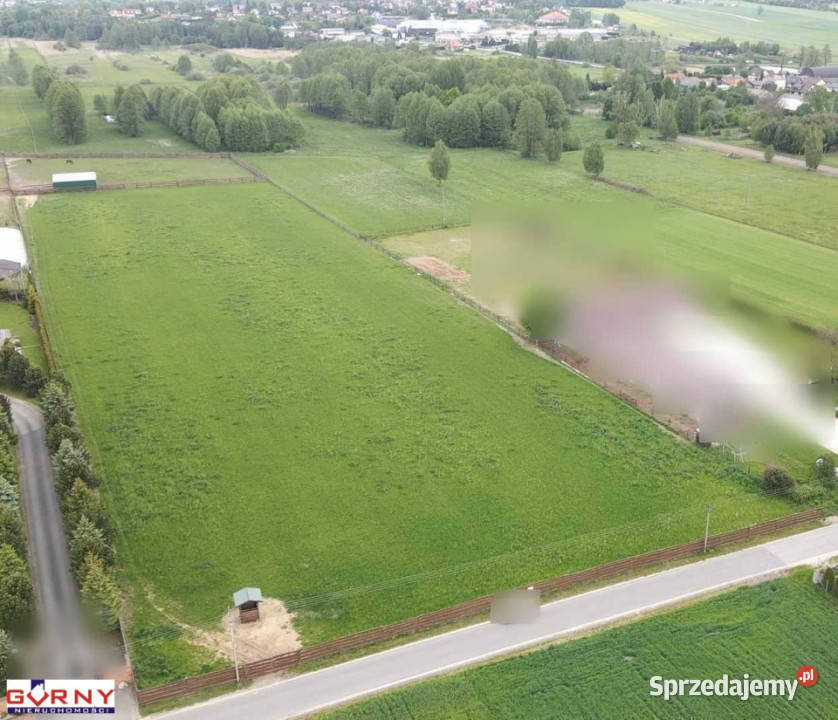 Ogłoszenie działka 1199m2 Plucice szambo