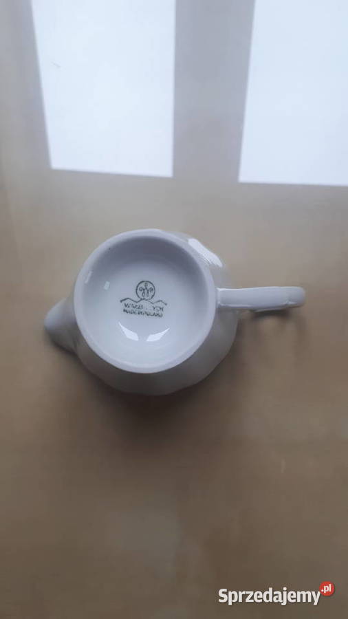 mlecznik biały Kamionki