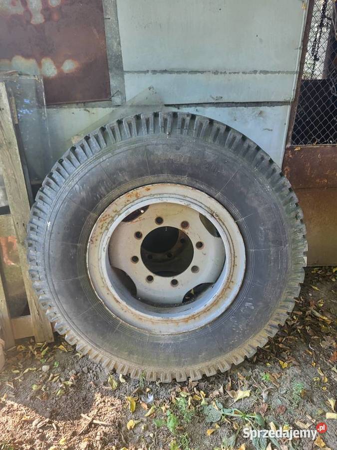 Koło do bizona 23126 Koło 120020 Legnickie Pole