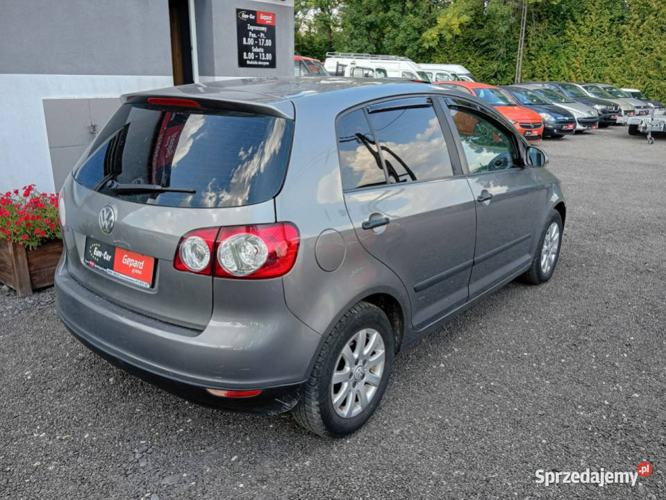 Volkswagen Golf Plus I 20042009 nieuszkodzony lubelskie