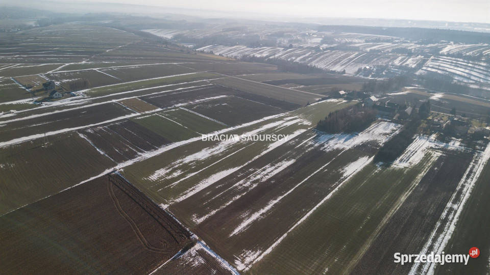 Grunt 15000m2 Gołyszyn
