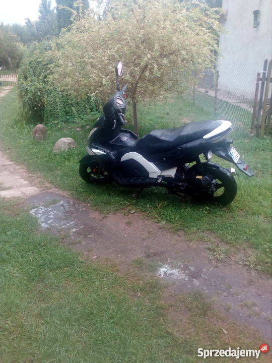 Zumico Avatar Zumico Okonek sprzedam