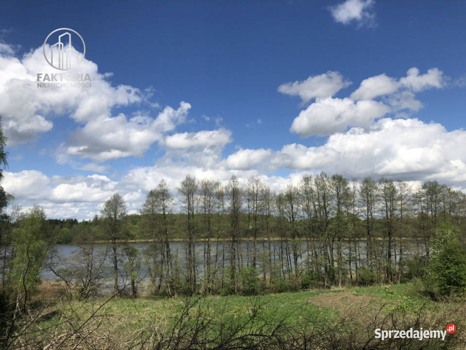 Grunt Dąbrówno 2500m2 Sprzedaż