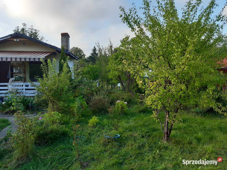 Działka ROD 179zł/m2 Gdańsk