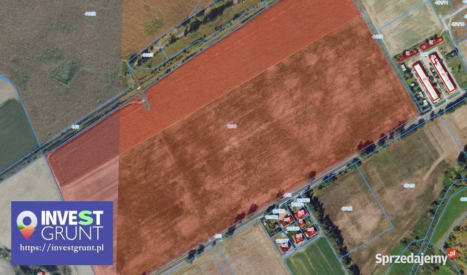 1611 ha grunty rolne przetarg na dzierżawę 161100m2 Gołańcz