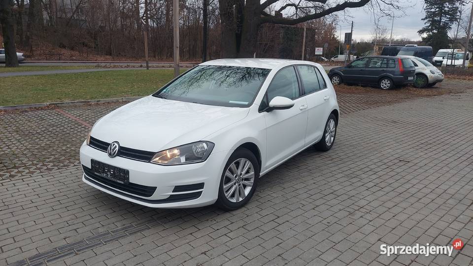 100Bezwypadkowy Tdi 110 Oryginalny lakier Puławy