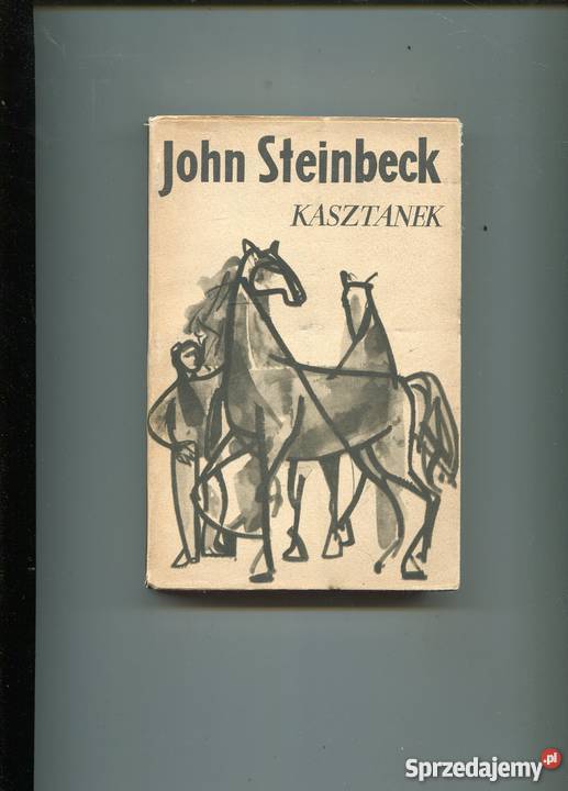 Kasztanek i inne opowiadania John Steinbeck Szczecin