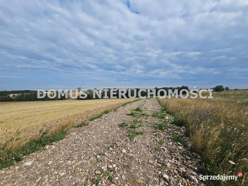 Działka Jasień 3000m2 gaz