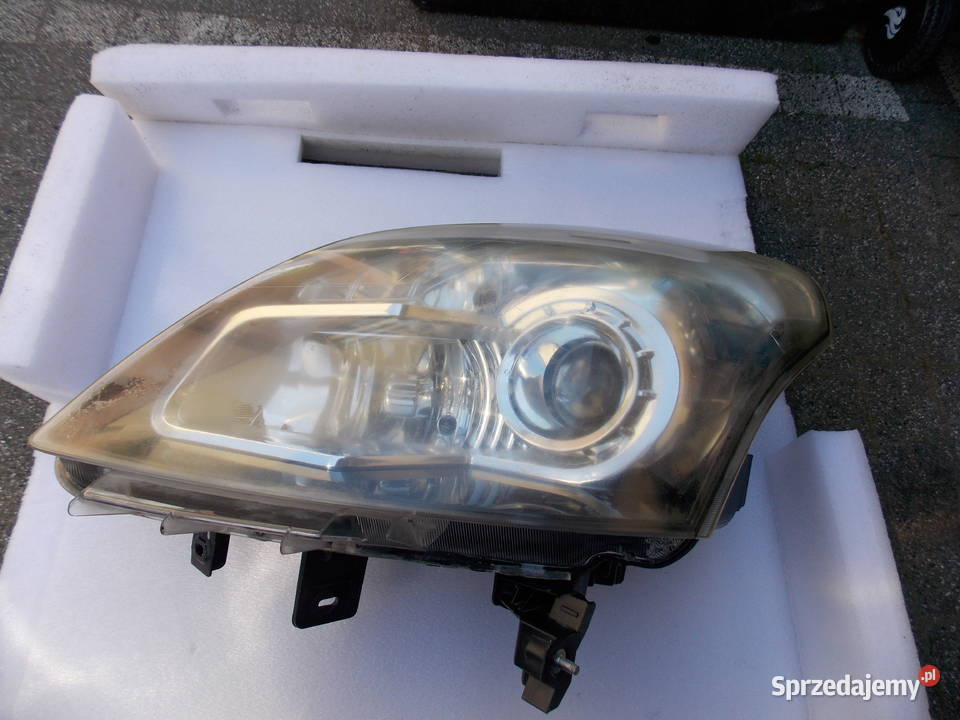 Reflektor przedni Koleos I xenon lewy 26060 JY Łosice