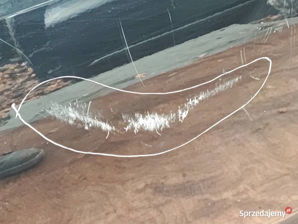 VOLKSWAGEN CADDY IV 22r drzwi lewy przód Drzwi Kielce