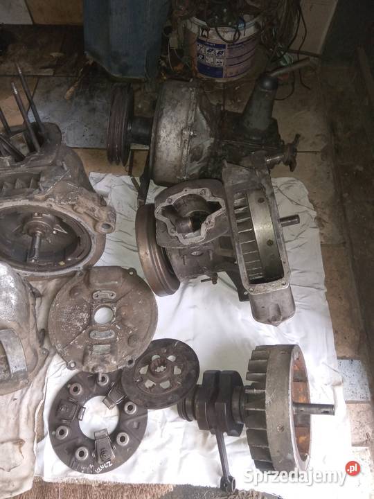 Sink DZIKA na czesci Aktualne małopolskie