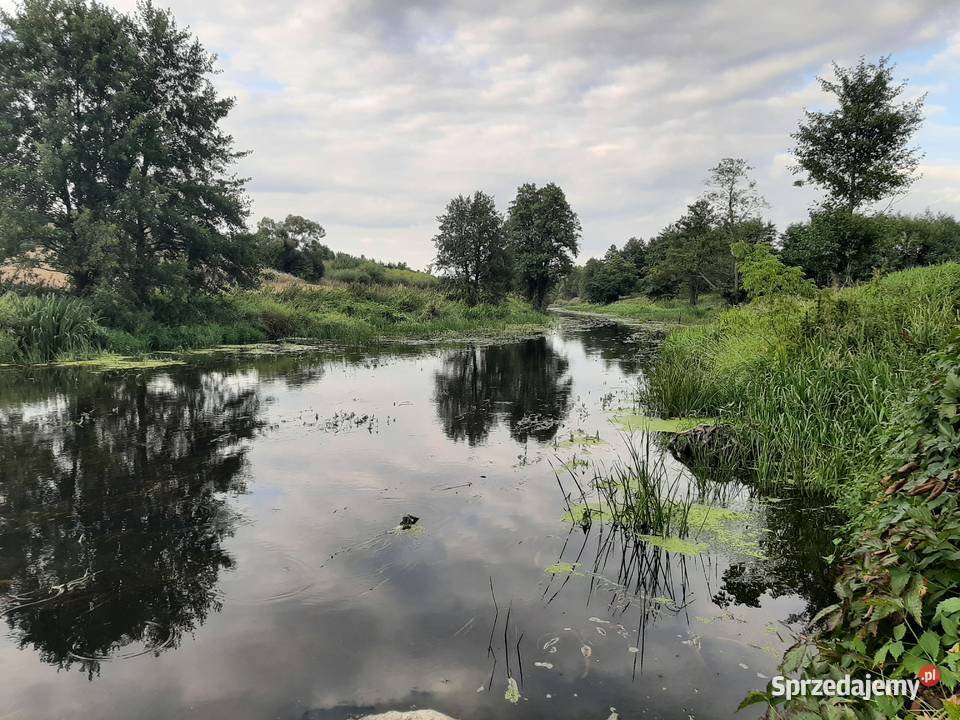 Ostatnia działka z DOSTĘPEM DO RZEKI SKRWA i Żurawinek