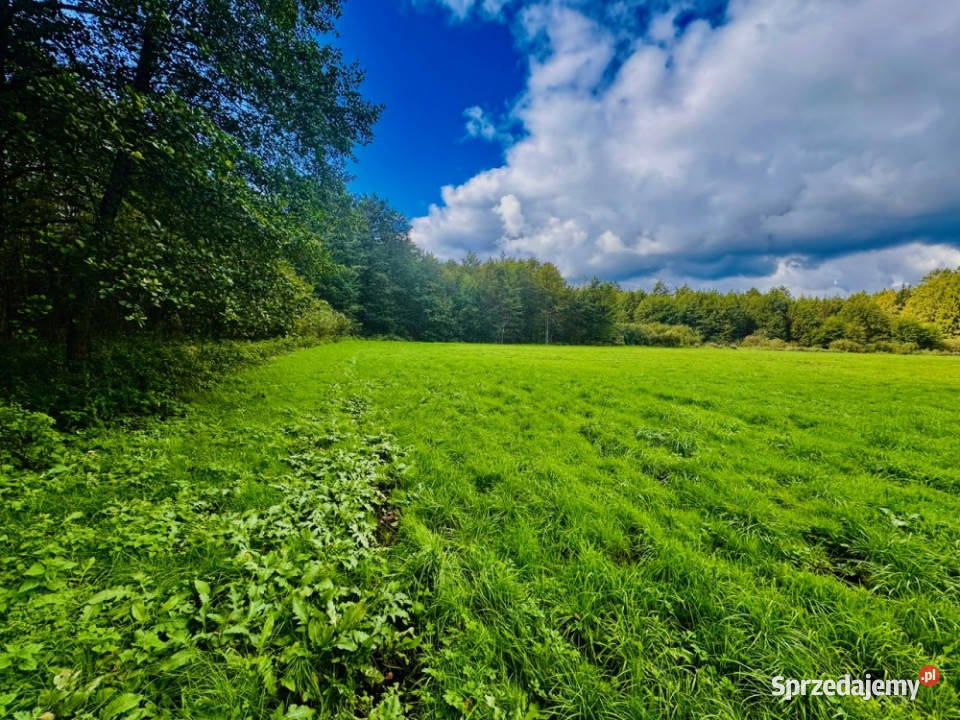 Wyjątkowa działka 242 ha wśród zieleni Cisza Nitki