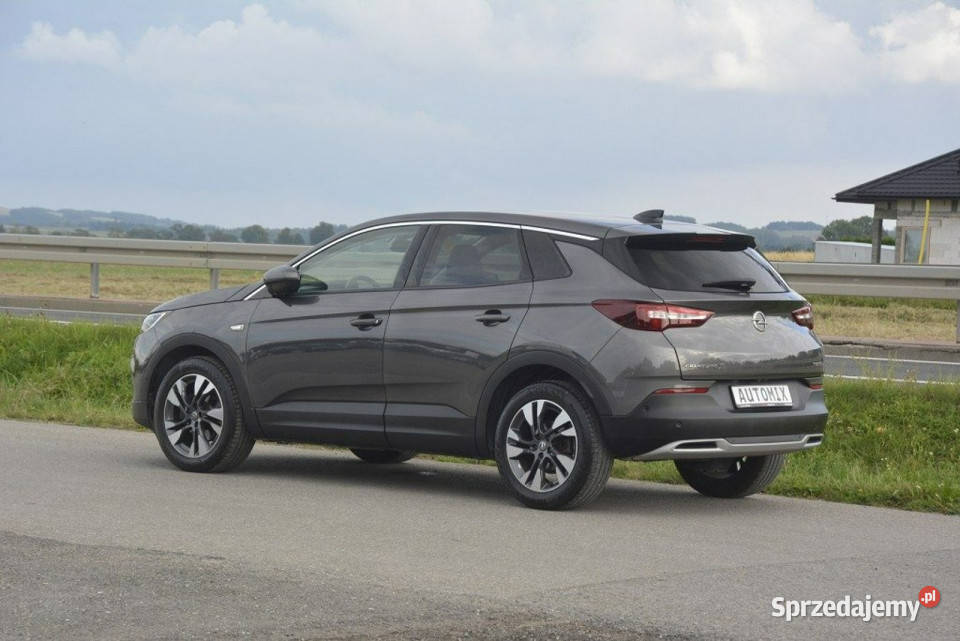 Opel Grandland X 15 D nawi Asist Park Android Grandland X Sędziszów Małopolski
