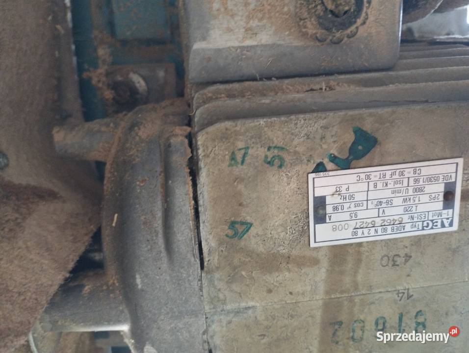 Pila stolowa Daniec sprzedam