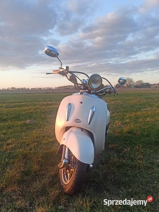 Fosti Retro 50 Pozostałe Troszyn sprzedam