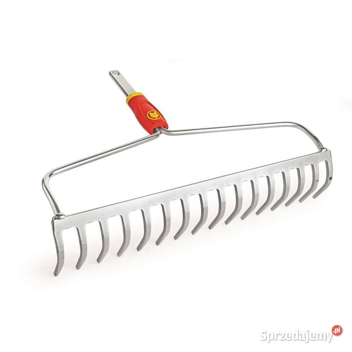 Grabie kabłąkowe DOM 40 WOLFGarten multistar pomorskie Tuchom