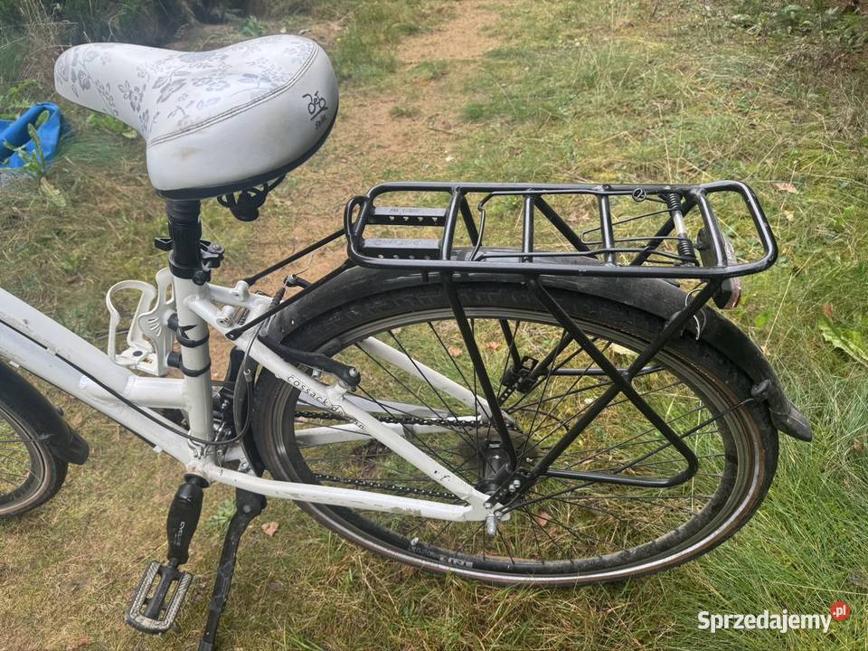 Rower Cossack Design damka Tuczno