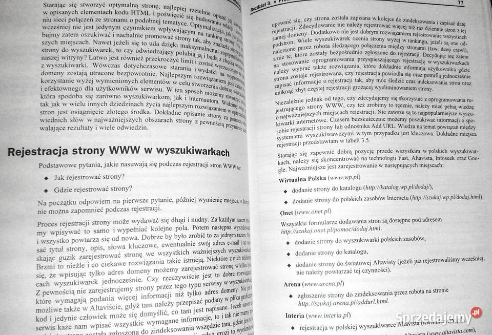 Marketing w internecie Strategie małych i dużych Chełm