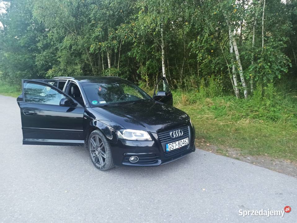Audi a3 8p 3x SLine relingi dachowe małopolskie Bochnia