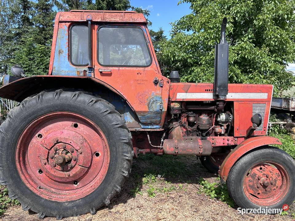 MTZ 50 Kowalewo Pomorskie