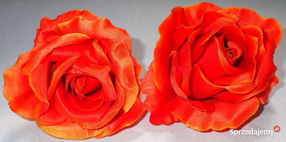 Róże rozwinięte różne kolory 1 śred 11 LA641 Pozostałe śląskie Siewierz