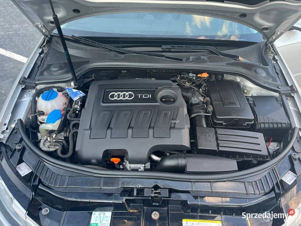 Ladna audi Bydgoszcz