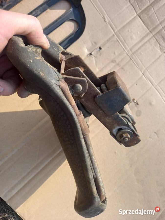 Siedzenie komar sztywniak Sokołów Podlaski