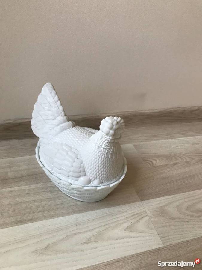 Kura szklana Sosnowiec