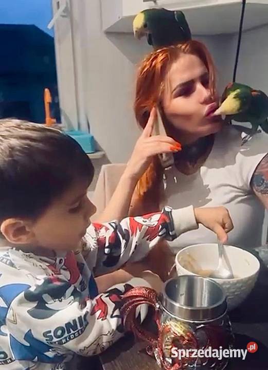 Sprzedam papugi amazonki Warszawa