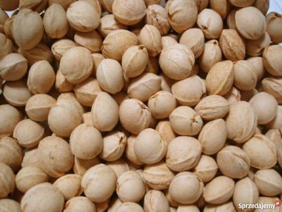 1 Eko Pestka Pestki Wiśni do Naturalnych wielkopolskie Kliny