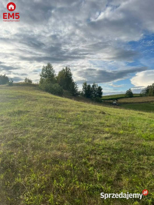 Do sprzedaży działka Hołny Wolmera 950317m2 rolna