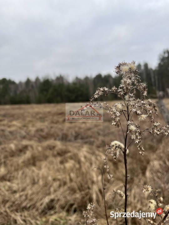 sprzedaży działki 1000m2 Biały Ług mazowieckie sprzedam