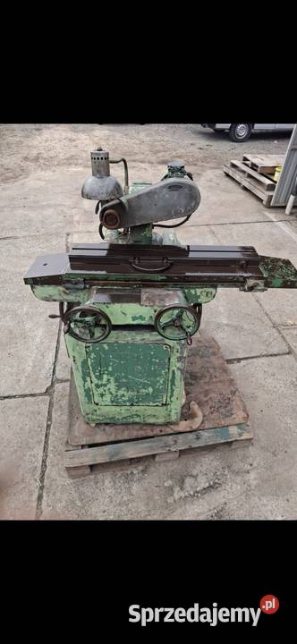 Cyrkularka oszczałka Pszczyna