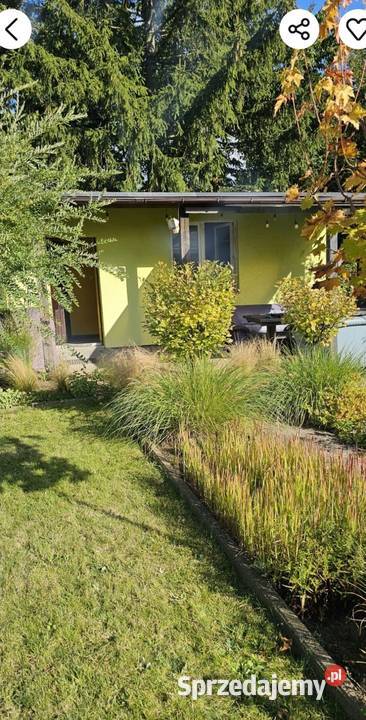 Działka rekreacyjna ROD Chełmno sprzedam