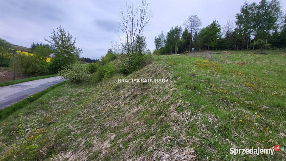 Grunt 3642m2 Michałowice Koźlica sprzedam