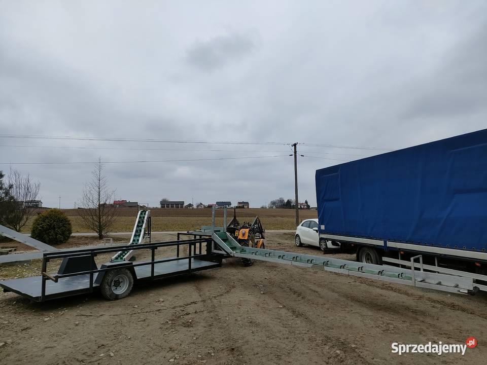 Taśmociąg Podajnik Transporter do zbioru warzyw Ewunin sprzedam