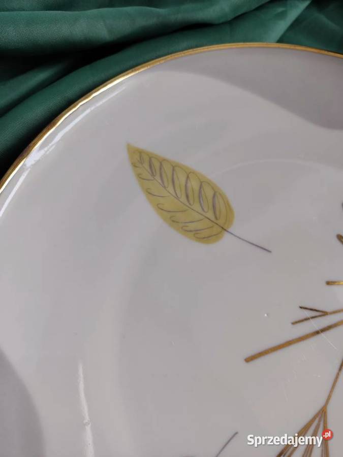 Talerz porcelanowy Winterling Rslau Bavaria opolskie Głuchołazy sprzedam