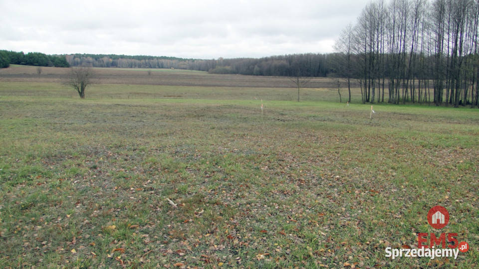 Grunt Tołcze 1000m2 podlaskie