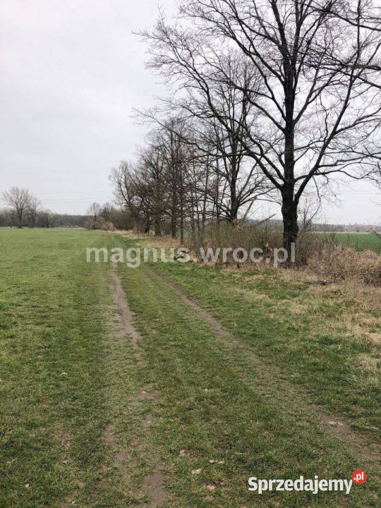 Na sprzedaż piękna działka rolna w Świdnica